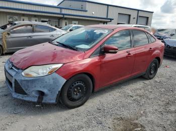  Salvage Ford Focus