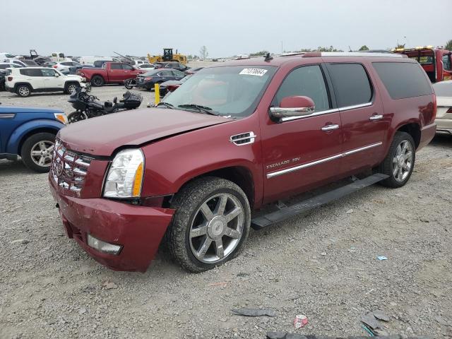  Salvage Cadillac Escalade