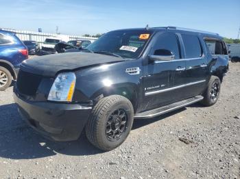  Salvage Cadillac Escalade