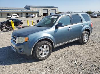  Salvage Ford Escape