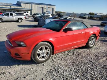  Salvage Ford Mustang