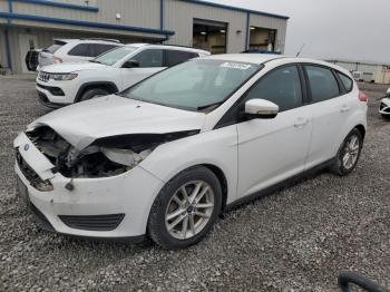  Salvage Ford Focus