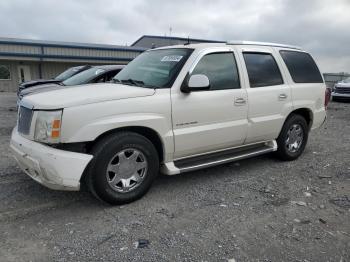  Salvage Cadillac Escalade