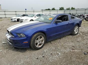  Salvage Ford Mustang