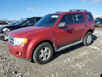  Salvage Ford Escape