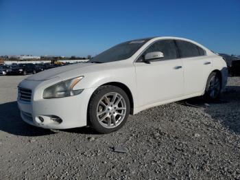  Salvage Nissan Maxima