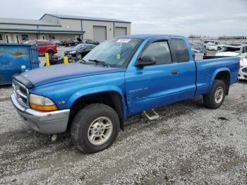  Salvage Dodge Dakota