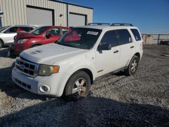  Salvage Ford Escape