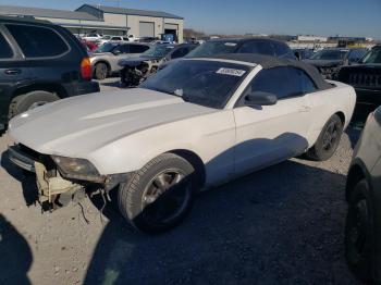  Salvage Ford Mustang