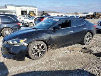  Salvage Nissan Maxima