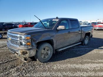  Salvage Chevrolet Silverado