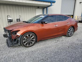  Salvage Nissan Maxima