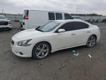  Salvage Nissan Maxima