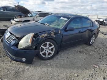  Salvage Nissan Maxima