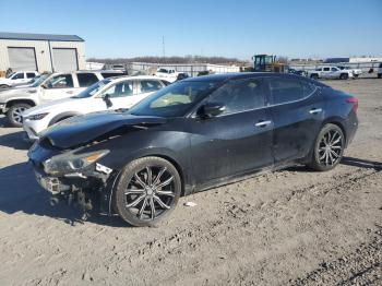  Salvage Nissan Maxima