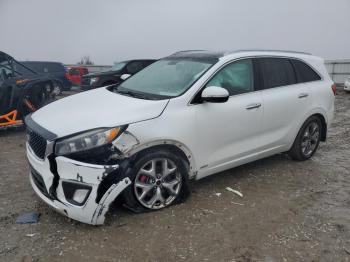  Salvage Kia Sorento