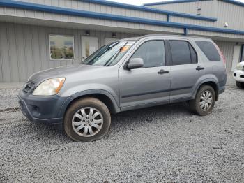  Salvage Honda Crv