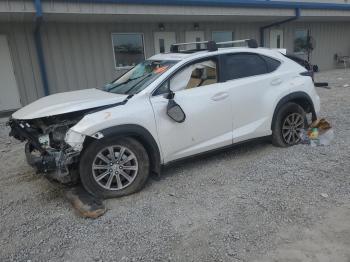  Salvage Lexus NX