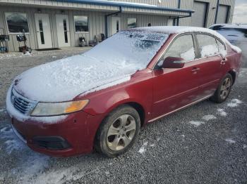  Salvage Kia Optima