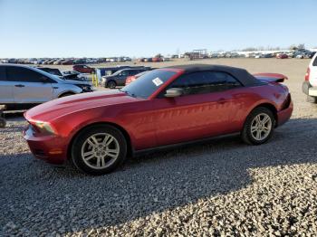  Salvage Ford Mustang