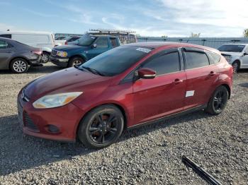  Salvage Ford Focus