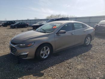  Salvage Chevrolet Malibu