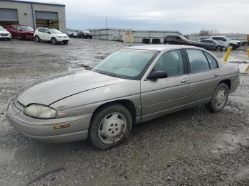  Salvage Chevrolet Lumina