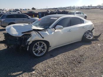  Salvage Nissan Maxima