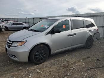  Salvage Honda Odyssey