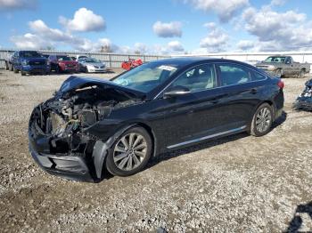  Salvage Hyundai SONATA