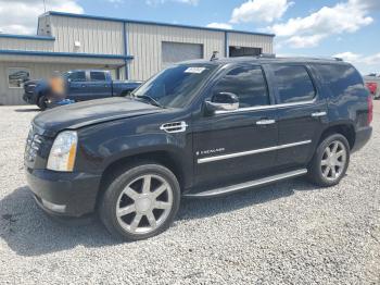  Salvage Cadillac Escalade