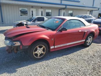  Salvage Ford Mustang