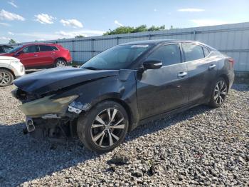 Salvage Nissan Maxima