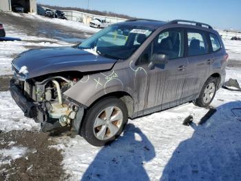  Salvage Subaru Forester