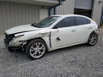  Salvage Nissan Maxima