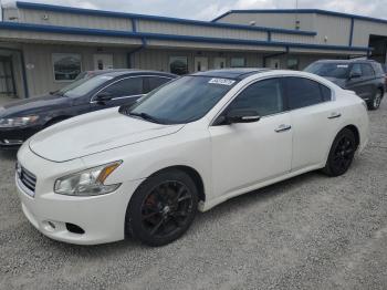  Salvage Nissan Maxima