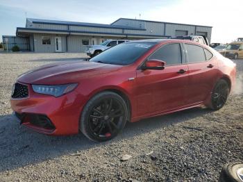  Salvage Acura TLX