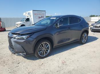  Salvage Lexus NX