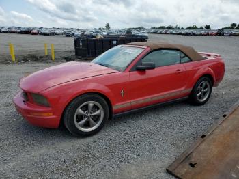  Salvage Ford Mustang