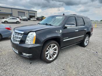  Salvage Cadillac Escalade