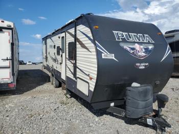  Salvage Puma Palamino