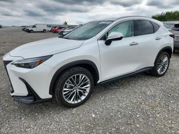 Salvage Lexus NX