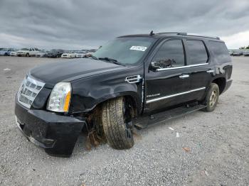  Salvage Cadillac Escalade