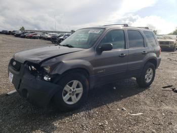  Salvage Ford Escape