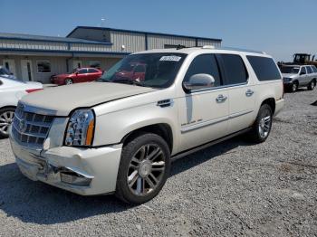  Salvage Cadillac Escalade