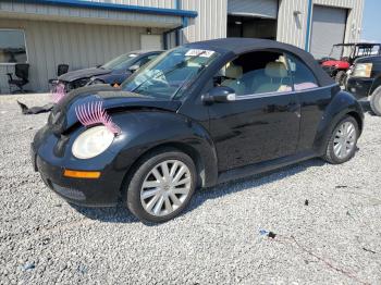  Salvage Volkswagen Beetle