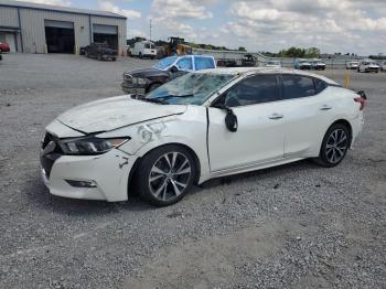  Salvage Nissan Maxima