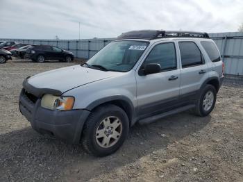  Salvage Ford Escape