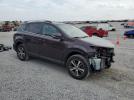 Toyota RAV4 Adventure Image 13