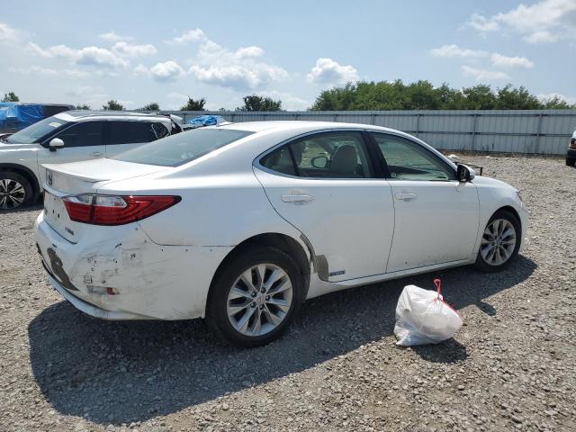 Lexus Es 300h Image 3